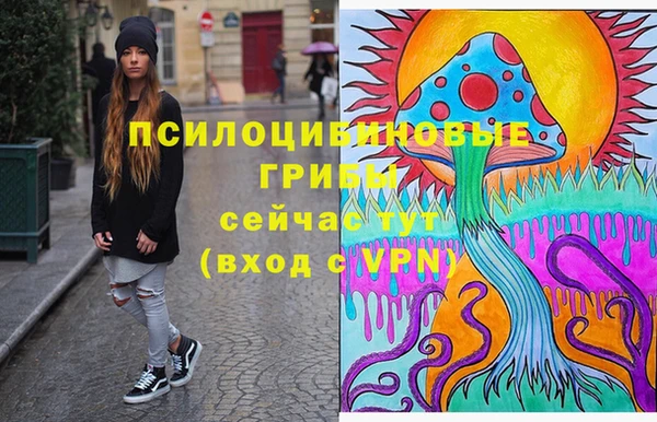 соль ск Аркадак