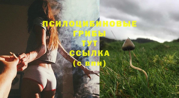прущая мука Арсеньев