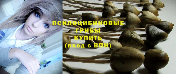 соль ск Аркадак