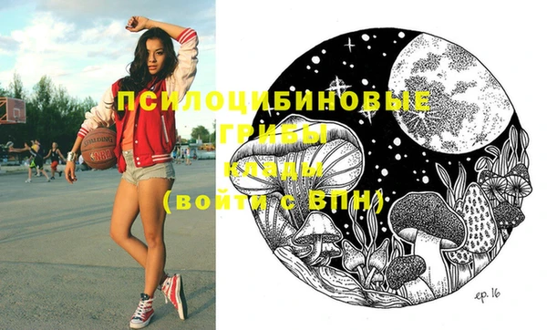 ГАЛЛЮЦИНОГЕННЫЕ ГРИБЫ Армянск