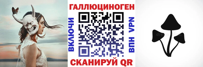 купить наркотики сайты  Нижние Серги  Галлюциногенные грибы Psilocybe 